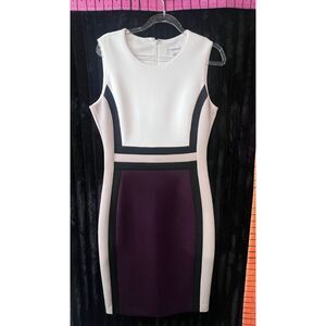 Calvin Klein Women’s Size 6 Colorblock Sheath Dress Ivory Black Plum
